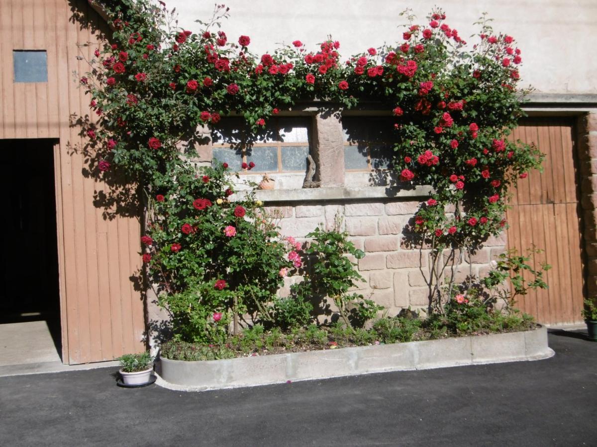 Chez Catherine Et Roger Brouvelieures Exteriér fotografie